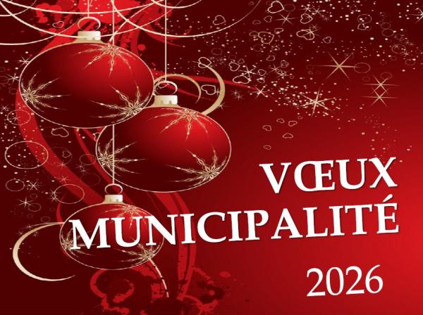 1ère page ddu diaporama2025 des voeux- boules de Noël sur fond rouge et doré